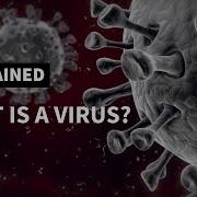 What Is A Virus AFP