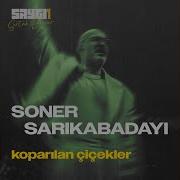 Koparılan Çiçekler SAYGI1