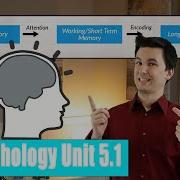 Introduction To Memory AP Psychology Unit 5 Topic 1 5 1