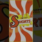 IPv4 Vs IPv6 Network Kings Shorts