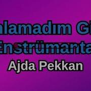 Ajda Pekkan Anlamadım Gitti Enstrümantal Karaoke