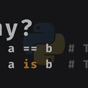 Is Vs Explained In Detail In Python