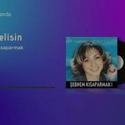 Dönmelisin Şebnem Kısaparmak