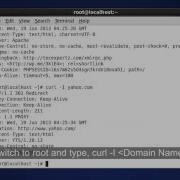 Fetch HTTP Headers With Curl