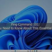 Ping Command 101 Everything You Need To Know About This Essential Network Tool Tamil Hacking
