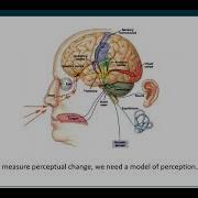 Dr Warrick Roseboom Time Perception As Accumulation Of Salient Events