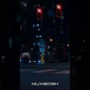 MUXIBOSH Zero Gravity Original Mix
