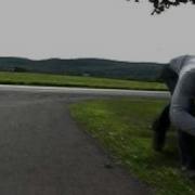 Fastest Human On All Fours