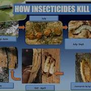 Managing EAB From Individuals To Neighborhoods