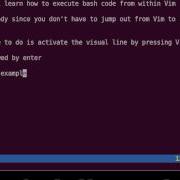 Vim Tutorial Execute Bash Command From Vim Directly
