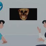 Rayscan Premiere CBCT Advanced 5D Imaging With Ray Face
