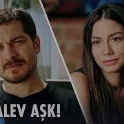 Eşref Ve Nisan ın Aşk İtirafları Eşref Rüya 8 Bölüm Kanald