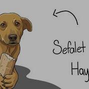 Eğer Bir Sokak Köpeği Olarak Doğsaydın