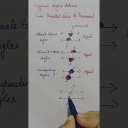 Different Angles Between 2 Parallel Lines And A Transversal Short Shorts
