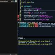How To Crop An Image Using Python And PIL