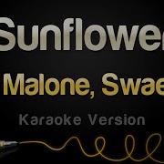 Post Malone Swae Lee Sunflower Karaoke Version