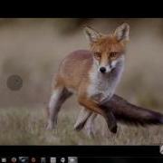 Basic How To Adblock Noscript In Firefox