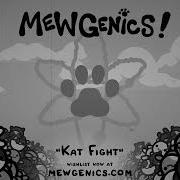 Kat Fight