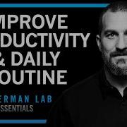 Maximize Productivity Physical Mental Health With Daily Tools Huberman Lab Essentials