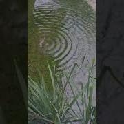 The Ripple Effect