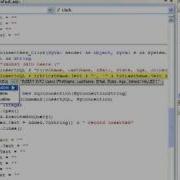 Learn Visual Basic Insert New Record