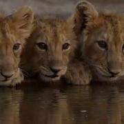 Spring 2016 Preview For Rocky Mountain PBS