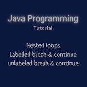 Lesson 26 Nested Loops Labeled Unlabeled Break And Continue Statements In Java