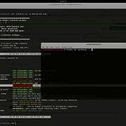 TestSSL SSL TLS Penetration Testing