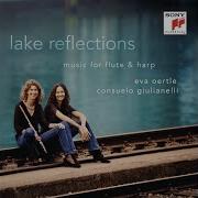 Lake Reflection