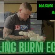 Pulling Burmese Python Eggs