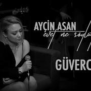Ayçin Asan Güvercin Sezen Aksu Cover