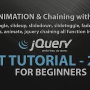 Class 5 Best Jquery Tutorial Jquery Animation Function Hide Show Toggle Fadein Animate
