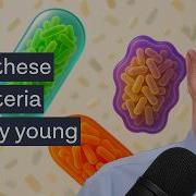 NEW Gut Science 3 Bacteria That Keep Your Heart Healthy Prof Tim Spector Prof Nicola Segata