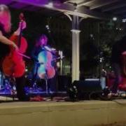 Cello Fury