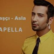 Tan Taşçı Asla Acapella Müziksiz Vokal Şarkı Sözleri