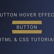 CSS Button Hover Effect Tutorial Codecompanion93