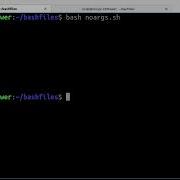 Bash Script With Arguments