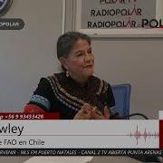 BuenosDiasRegion Eve Crowley Representante FAO En Chile 25 11 2021