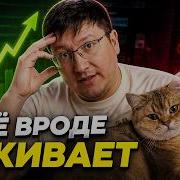 Почему IT рынок одновременно растёт и пугает людей