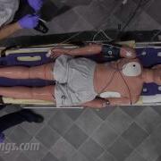 Обучение брадикардии алгоритмы ACLS