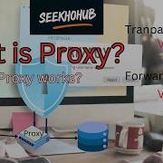 What Is Proxy How Proxy Works Transparent Vs Explicit Proxy Forward Vs Reverse Proxy