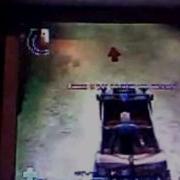 ZioVeraPgig Bfh Funny Moments