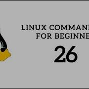 Linux Command Line For Beginners 26 Run Multiple Commands In Linux