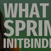 What Is Spring InitBinder