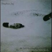 Stephen Jay The Mistake