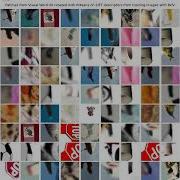 Image Classification SVM Bag Of Visual Words Python