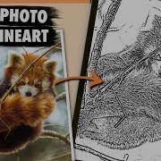 How To Turn Photos Into Line Art In Procreate Quick And Easy