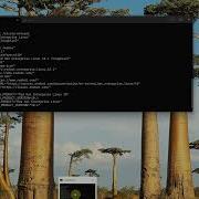 Установка SQL Server 2025 на Linux RHEL 10 и Ubuntu 24 онлайн установка