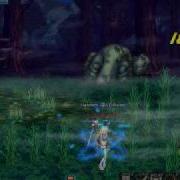 DFO Elementalist Skills