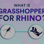 What Is Rhino Grasshopper Quick Introduction For Beginners